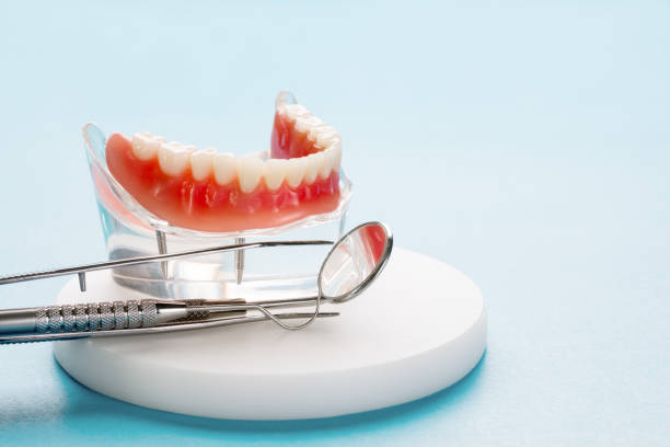 Best Traditional Braces  in Lofall, WA